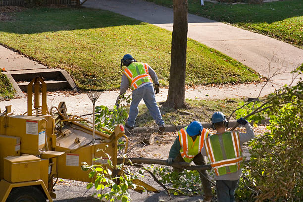 Leaf Removal in Warren, IN